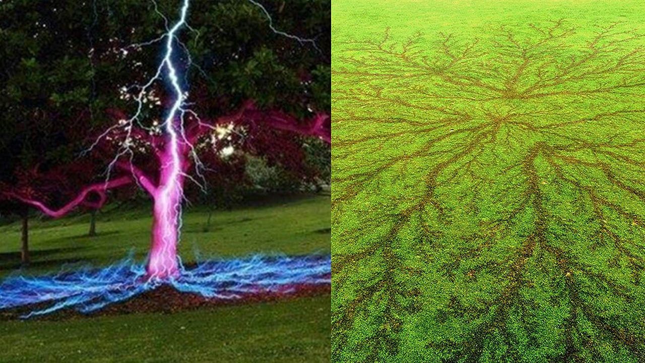 Ͼ42ͷţʧ70⻹ҵ