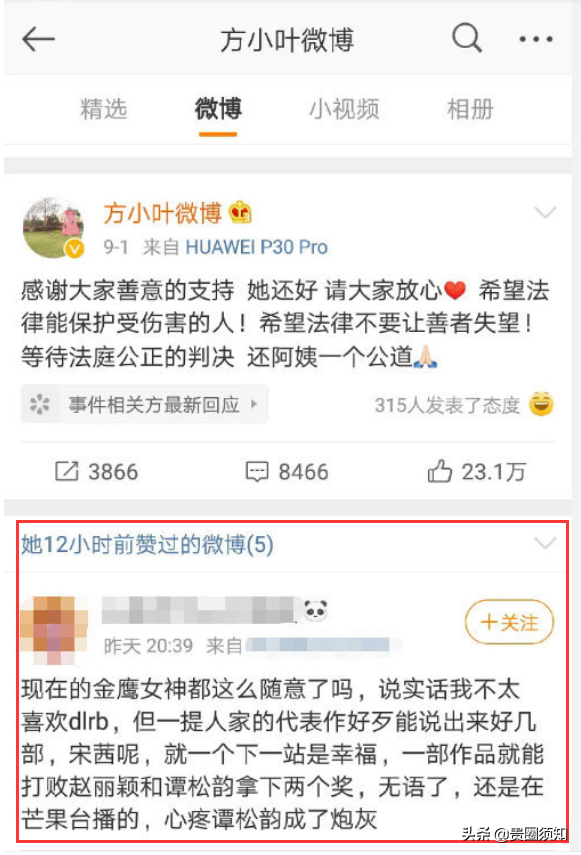 谭松韵经纪人为手滑点赞道歉，惨遭网友攻击让她引咎辞职