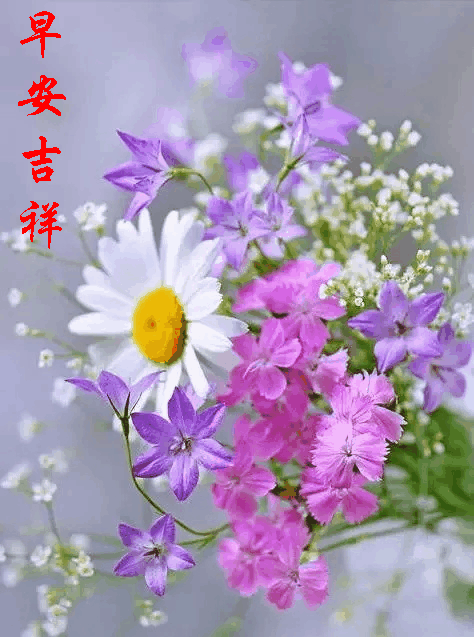 早上好动态图片带字和鲜花 早上好图片大全图片