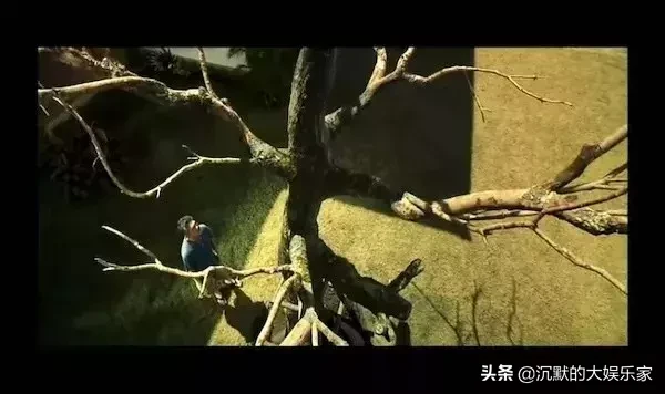 10部泰国小清新电影:是时候该改变对泰国的印象了
