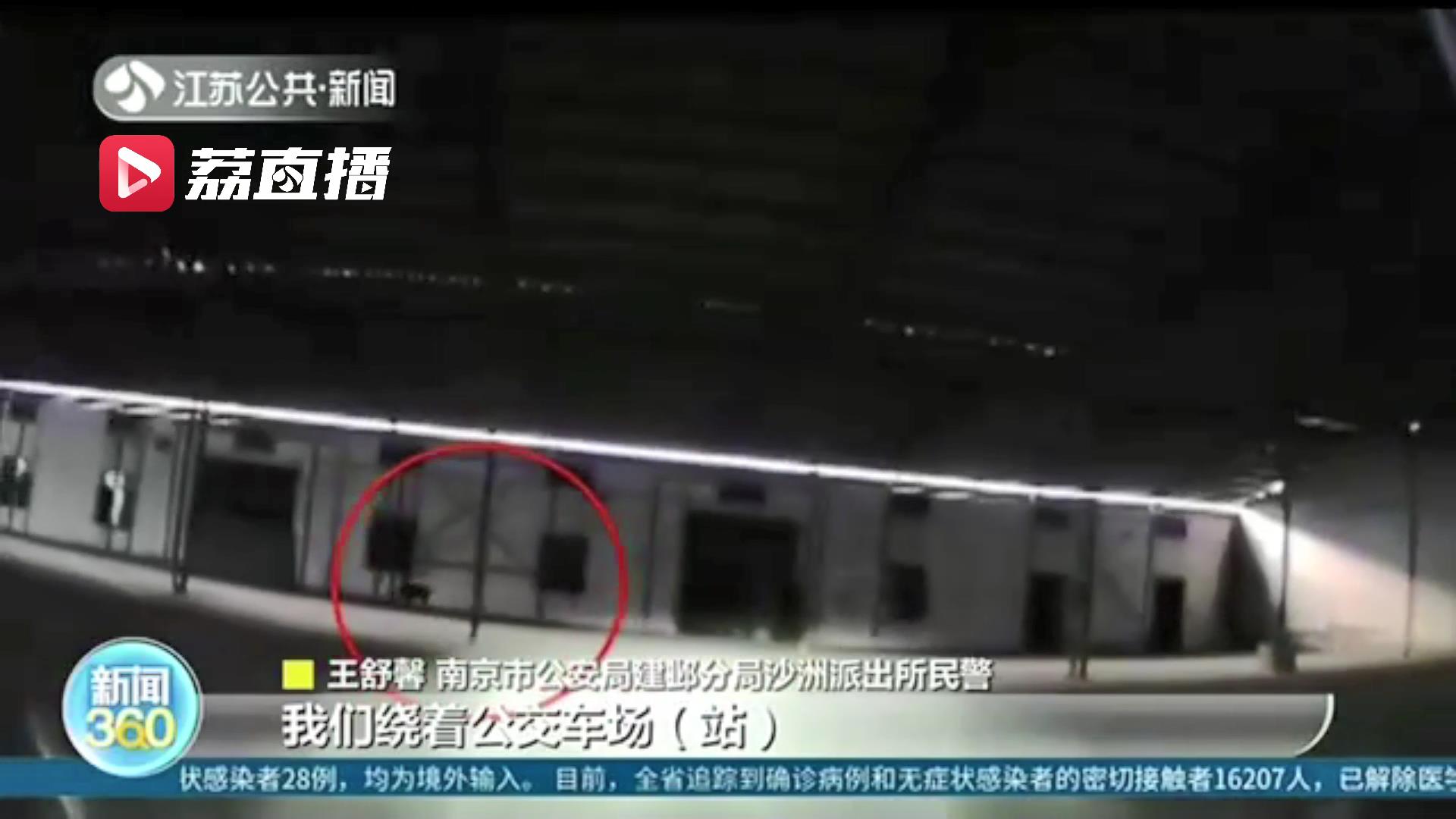 野猪闯进南京城区一奶茶店 警方四小时&ldquo;缉拿归案&rdquo;