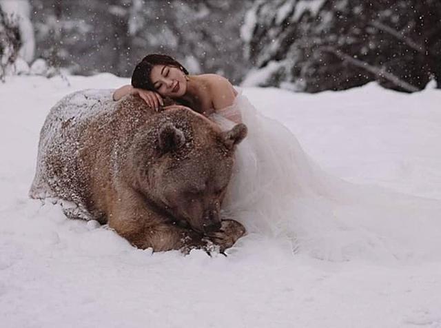 这对夫妇收留棕熊26年，棕熊无以为报，生个儿子