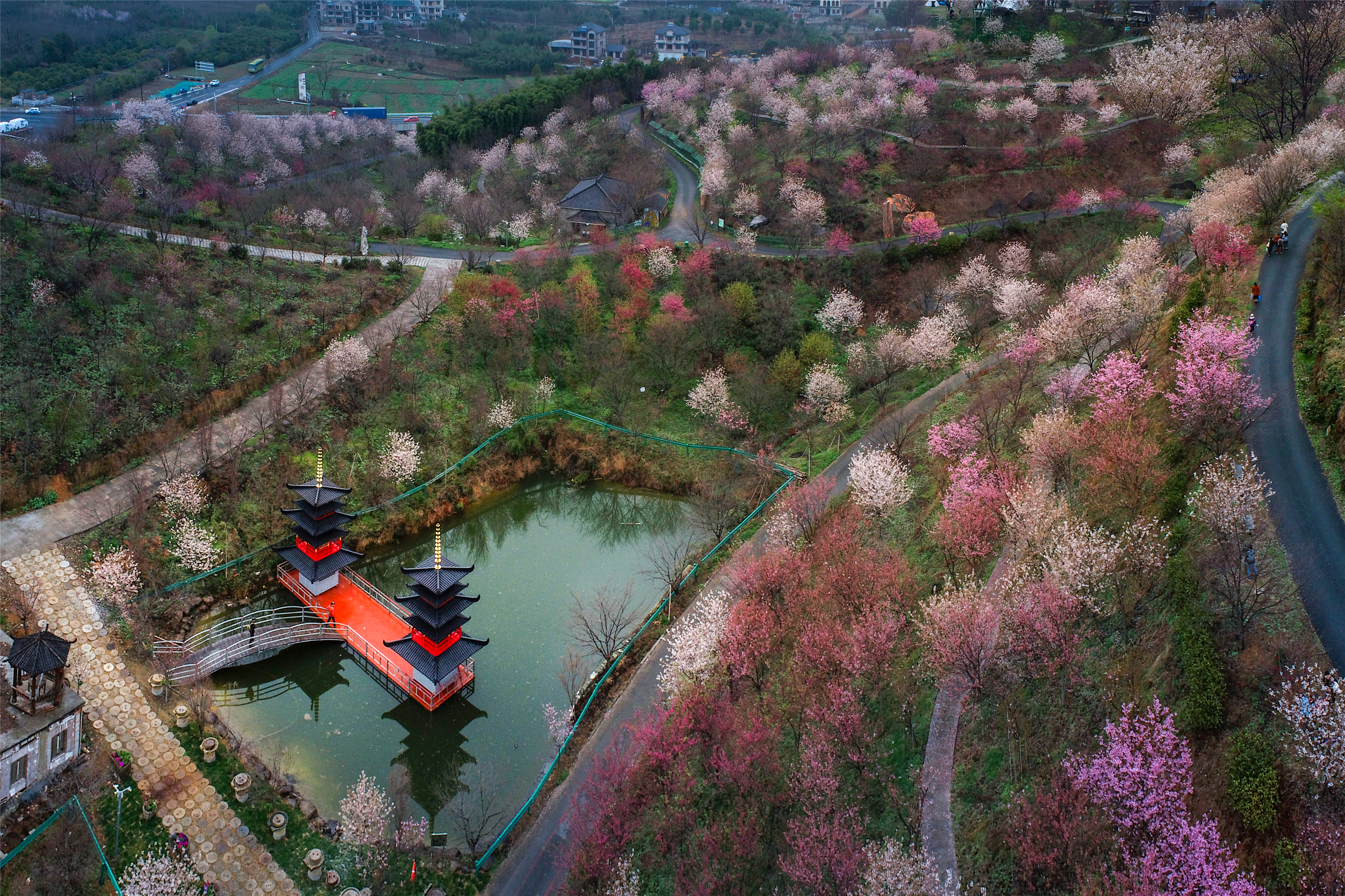 杭州的春天不仅在太子湾,这处唯美樱花园,足够承包你整个春天