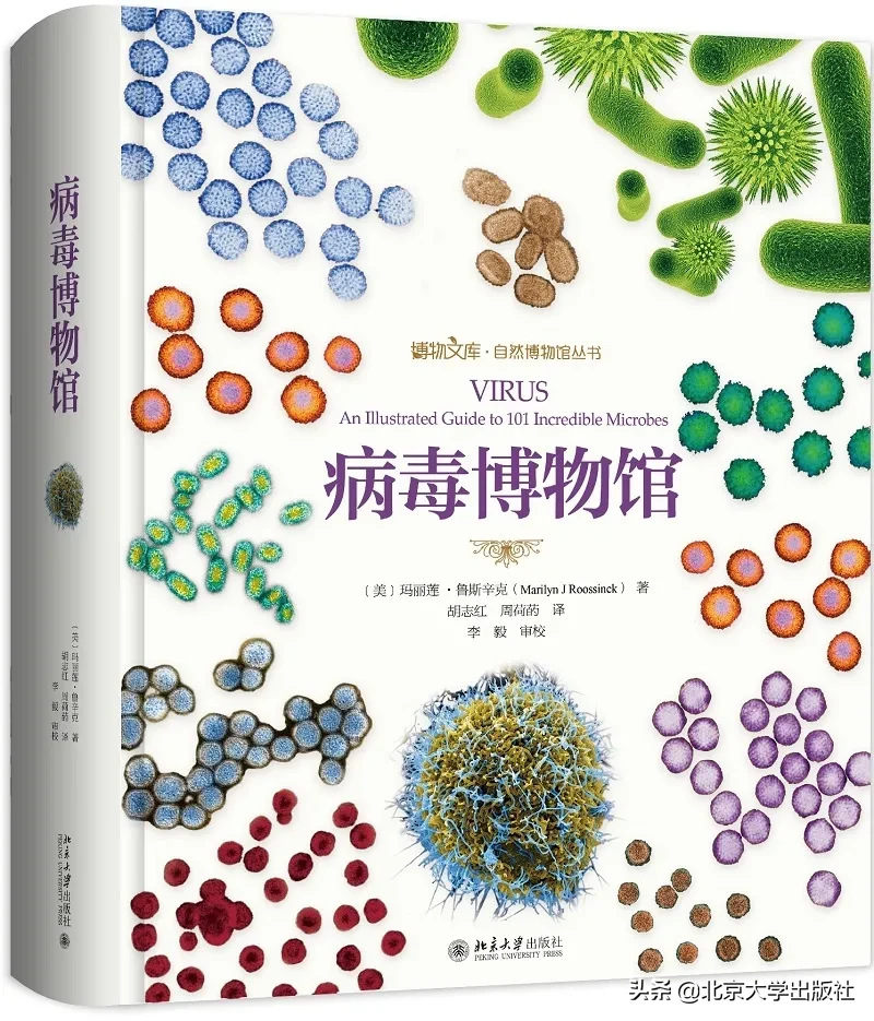 所有好奇心都值得被滿足：10本你不能錯過的科普書