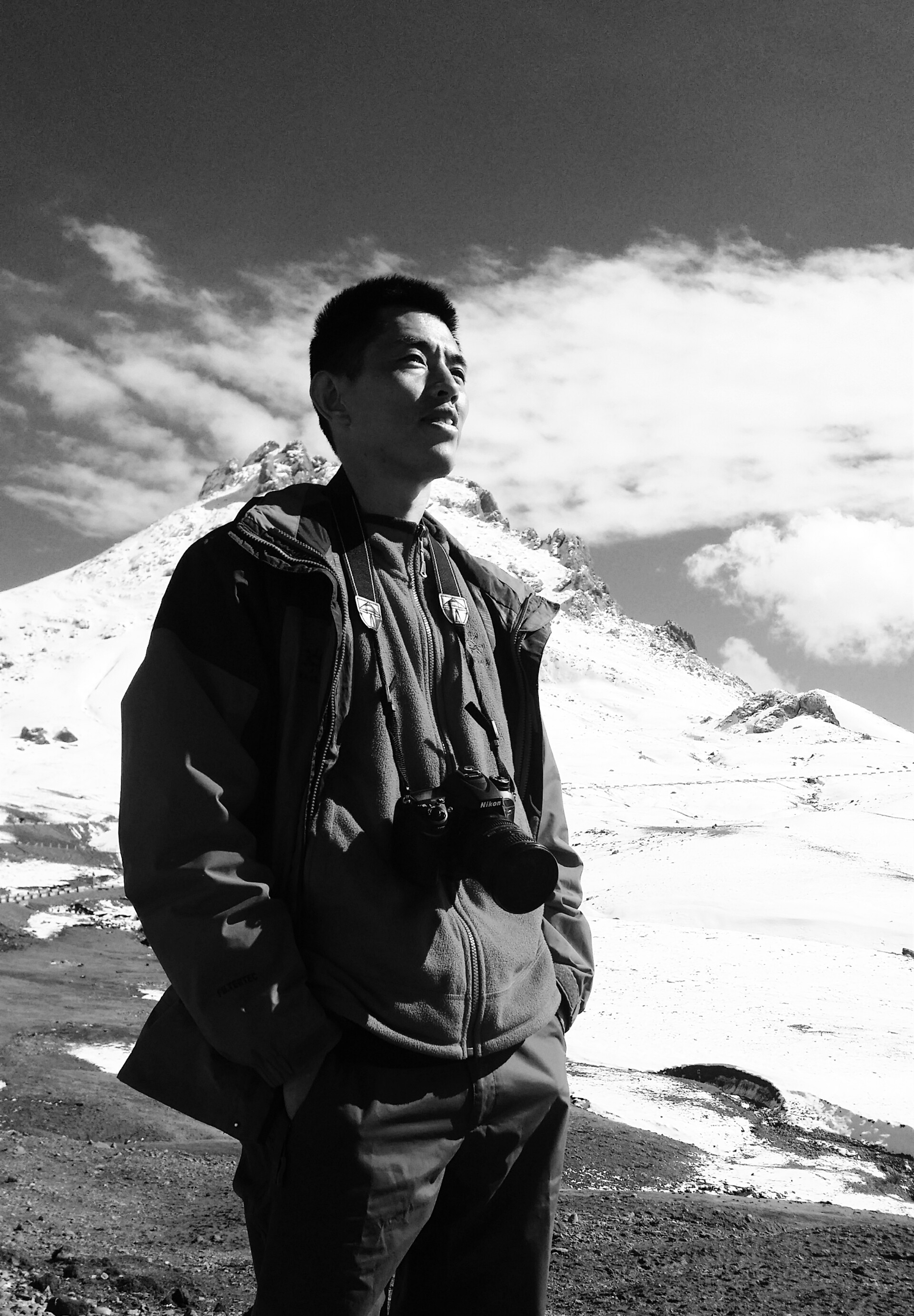 当代画家|平分秋色，阳阳说画国庆中秋书画展——火树银花