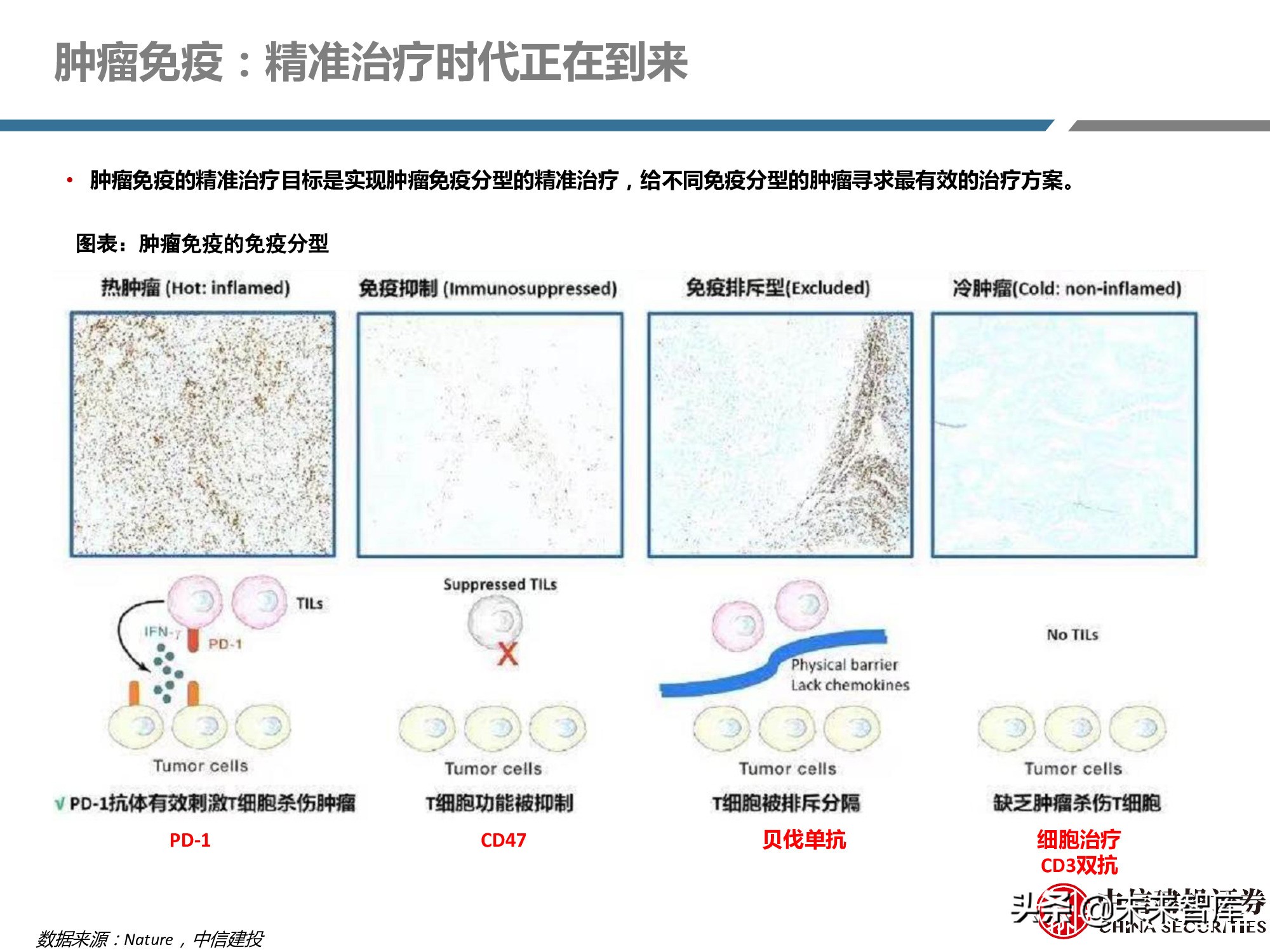 创新药产业链深度研究报告