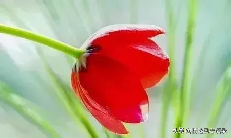 5个小故事,很短,却非常有道理-第3张图片-大千世界 5个小故事,很短,却非常有道理-第3张图片-大千世界