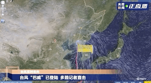 停工、停业、停课！多地发紧急通知