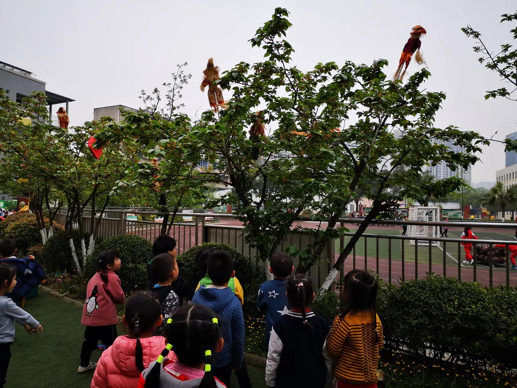 天府新区华阳幼儿园西区开展“幼儿园里的樱桃树”主题活动