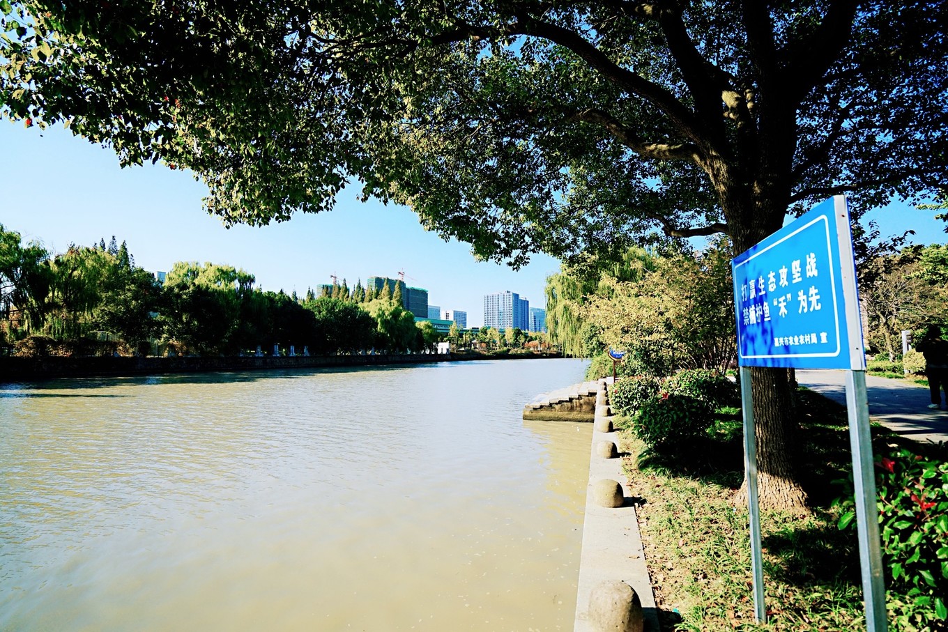 嘉兴的网红打卡地，一到秋天就美成画，游客都纷纷来拍照