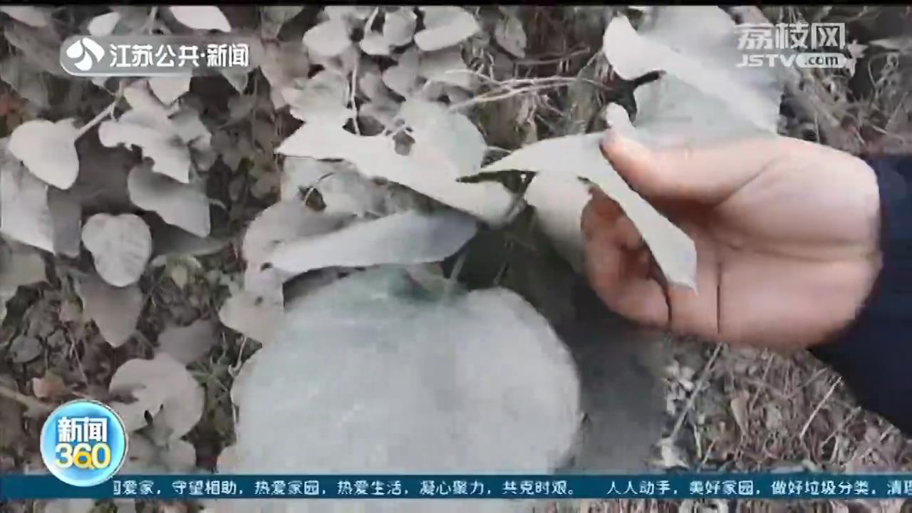 粉尘四处飘散、黑鞋子变成灰白色 镇江丹徒这几家建材厂要整治