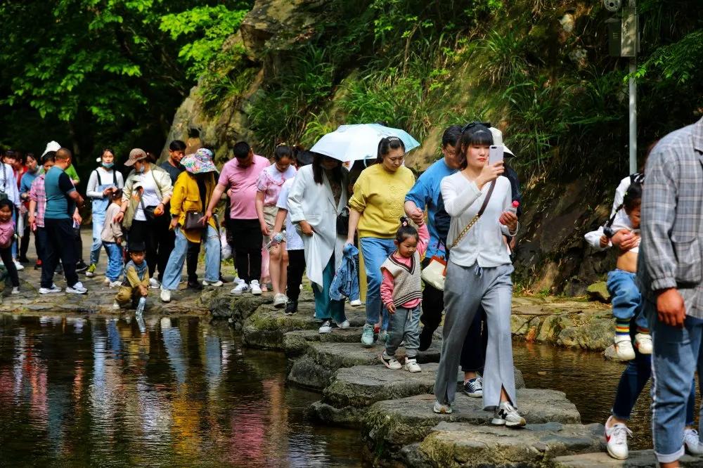 六一带上自家“神兽”来龙津溪地寻找纯真童年！山泉、瀑布、鸟鸣