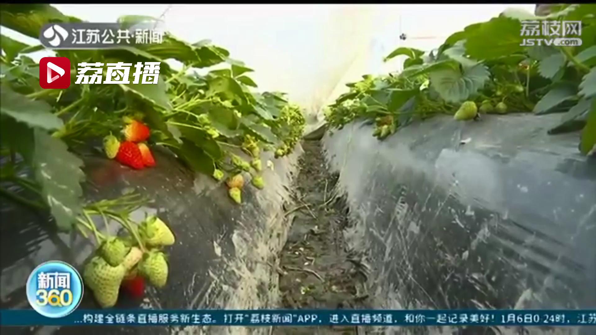 江苏各地全力应对寒潮 保障居民水电气和菜篮子正常供应