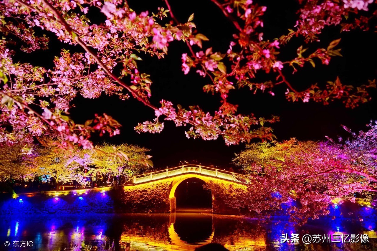 一处江南赏樱胜地——无锡鼋头渚