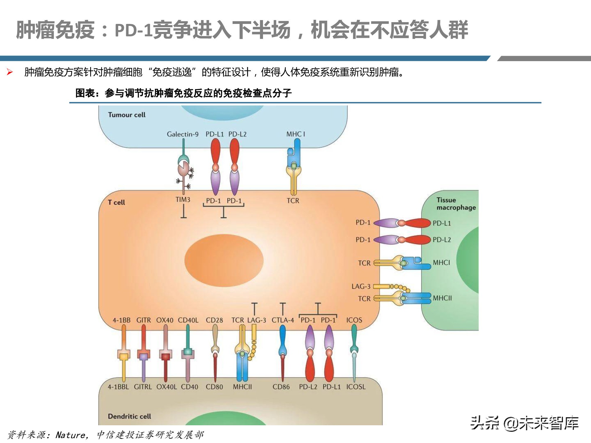 创新药产业链深度研究报告