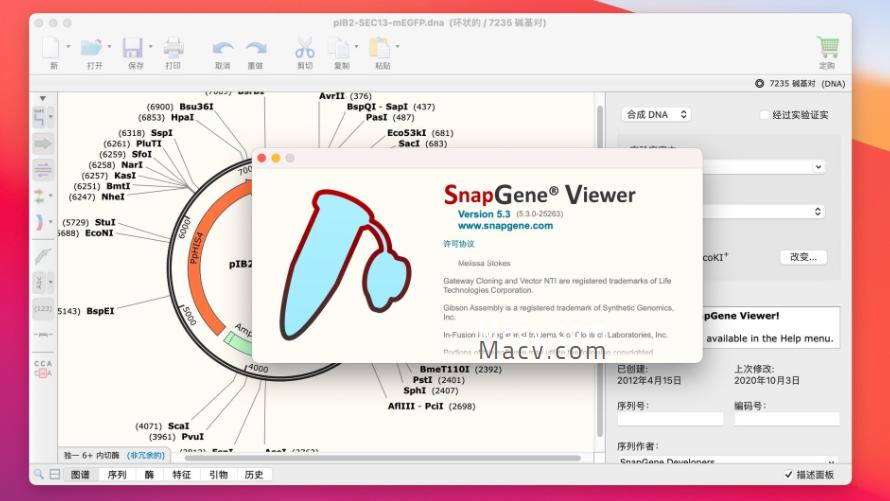 how to view on snapgene viewer how to view on snapgene viewer