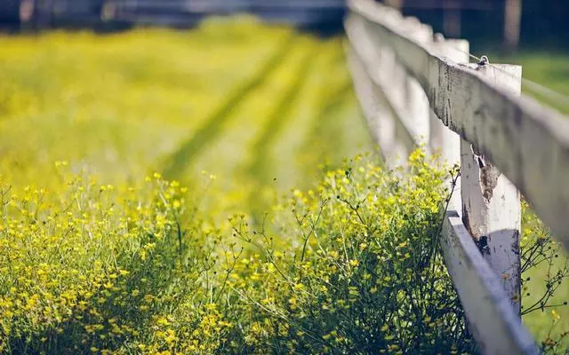 每日正能量——在时光深处，学会静静释怀