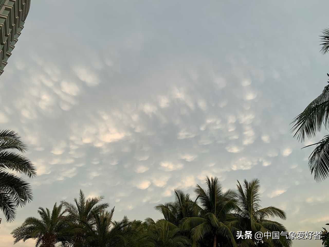 奇特！奇特乳状云现身海南海口，分析：这是坏天气开始的征兆