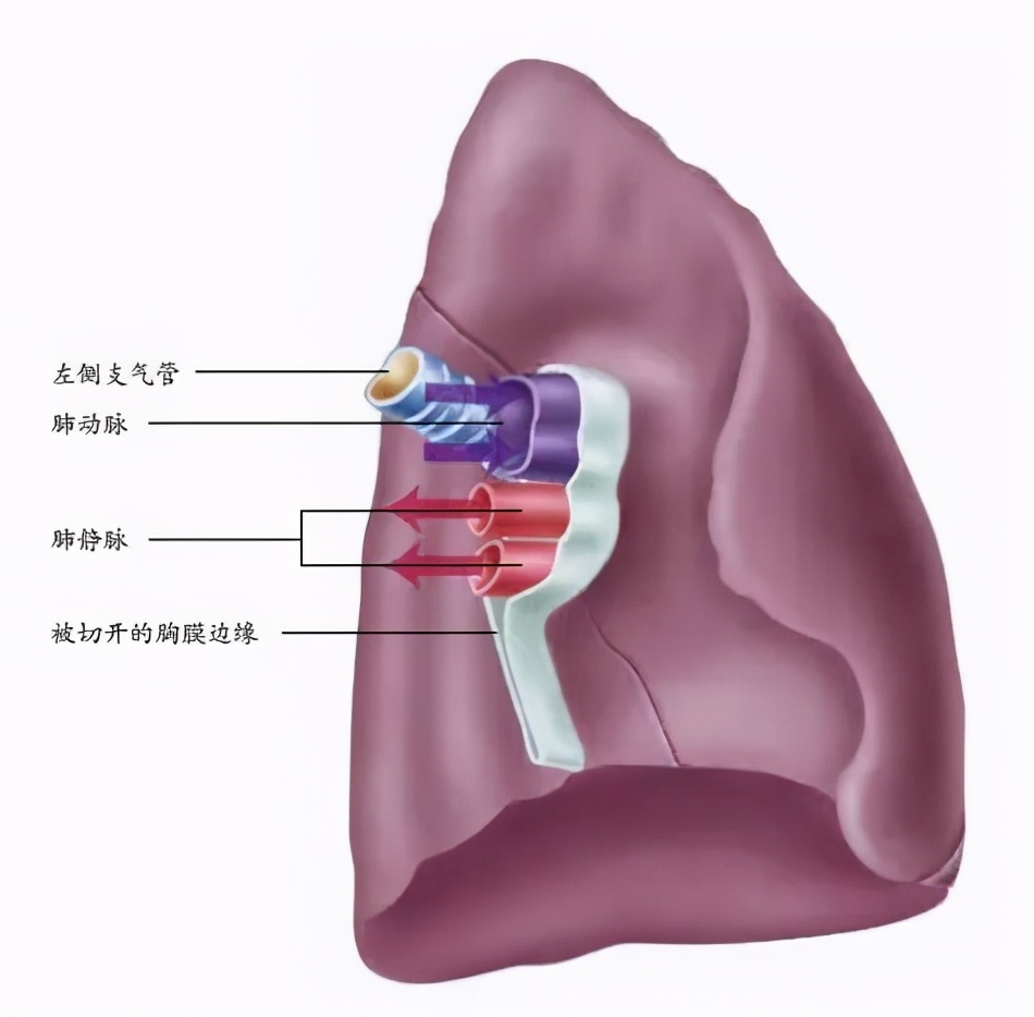 你天然拥有的无价之宝&mdash;&mdash;身体