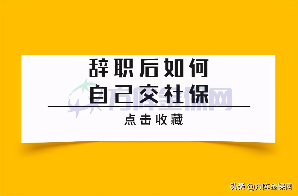 辞职后如何自己交社保你知道不？一起来看看