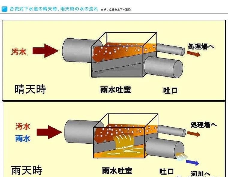 奥运铁人三项运动员集体呕吐，日本赛场水质堪忧