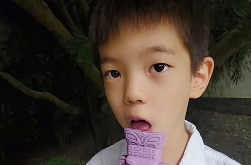 霍思燕晒儿子怼脸视频，嗯哼瘦到脱相双眼皮都消失，差点没认出来