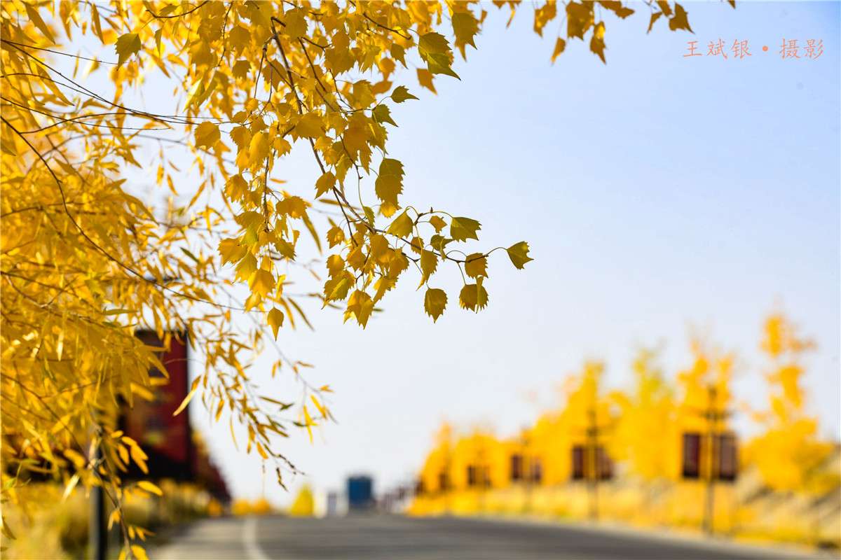 ��һ����˵�����������ȥ���ؾ����������鵽��