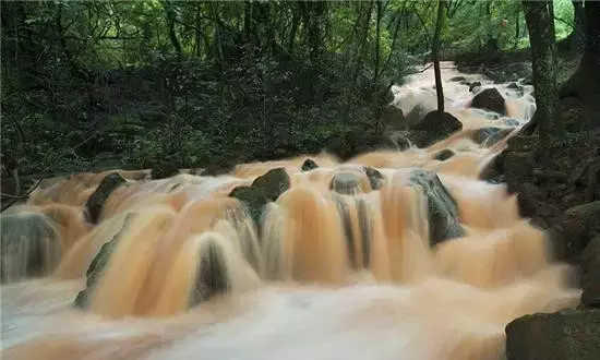 行走云南|在玉溪除了抚仙湖,还有这15个地方美得不要不要的!