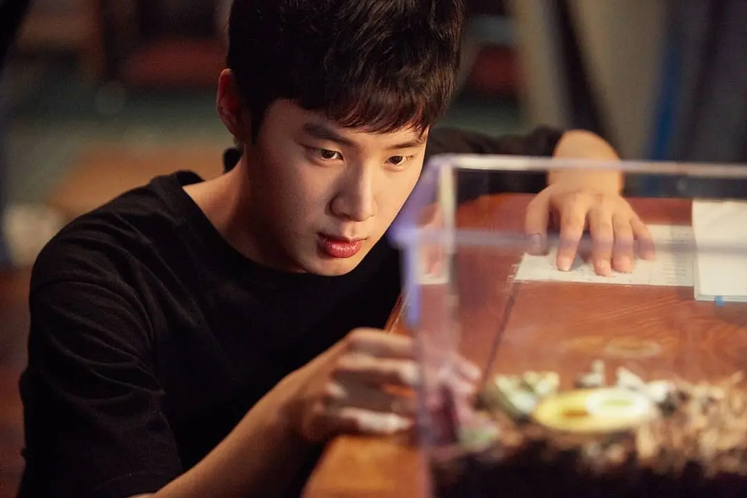 网飞新韩剧，拍出青春残酷的一面：关于校园霸