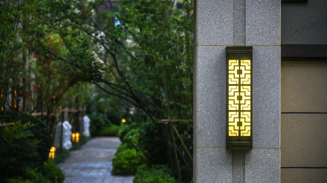 曾经播下的希望种子，此刻已枝繁叶茂