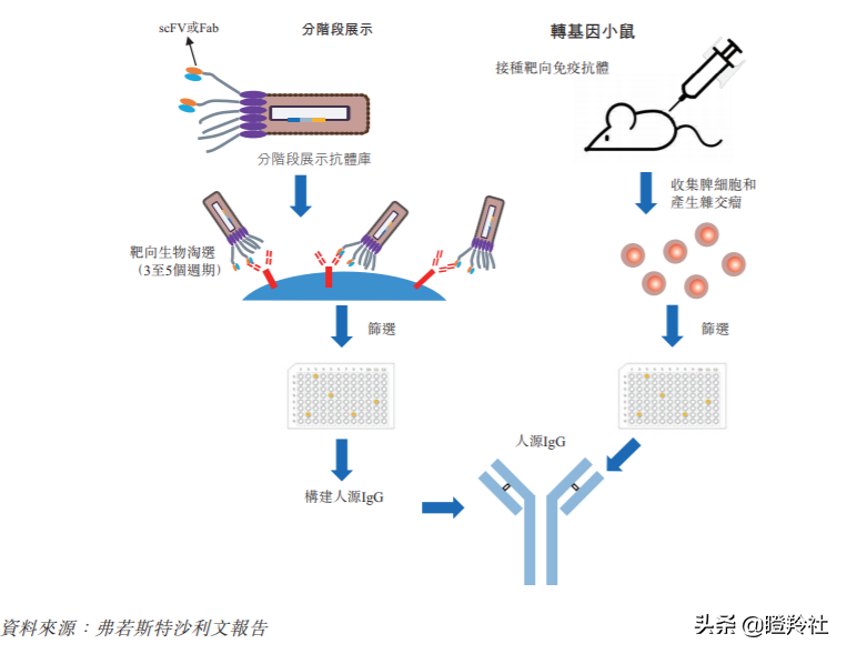 和铂医药，高瓴、GIC、奥博看走眼的平庸医药B？我看未必