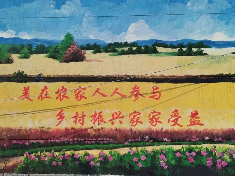 新兴镇开展2020年度各级“美在农家”示范户表彰奖励活动