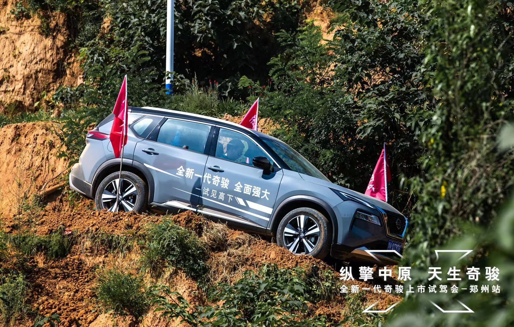 大河报汽车网