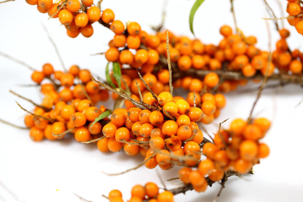 寒冷天氣襲來，血脂高的人特別要注意3件事，謹防心腦血管疾病