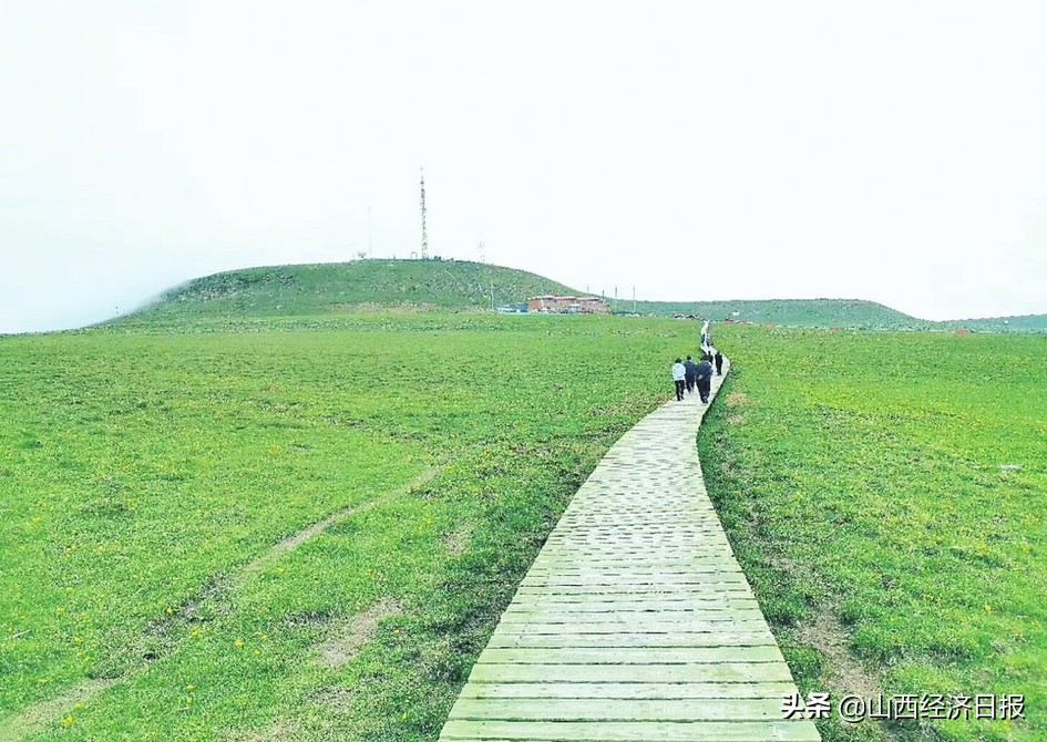 生态美、百姓富的“山西路径”——省林草局在