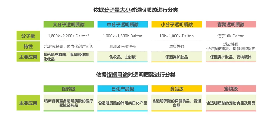 大洲新燕「玻尿酸胶原蛋白肽饮」上市：口服美容新潮儿