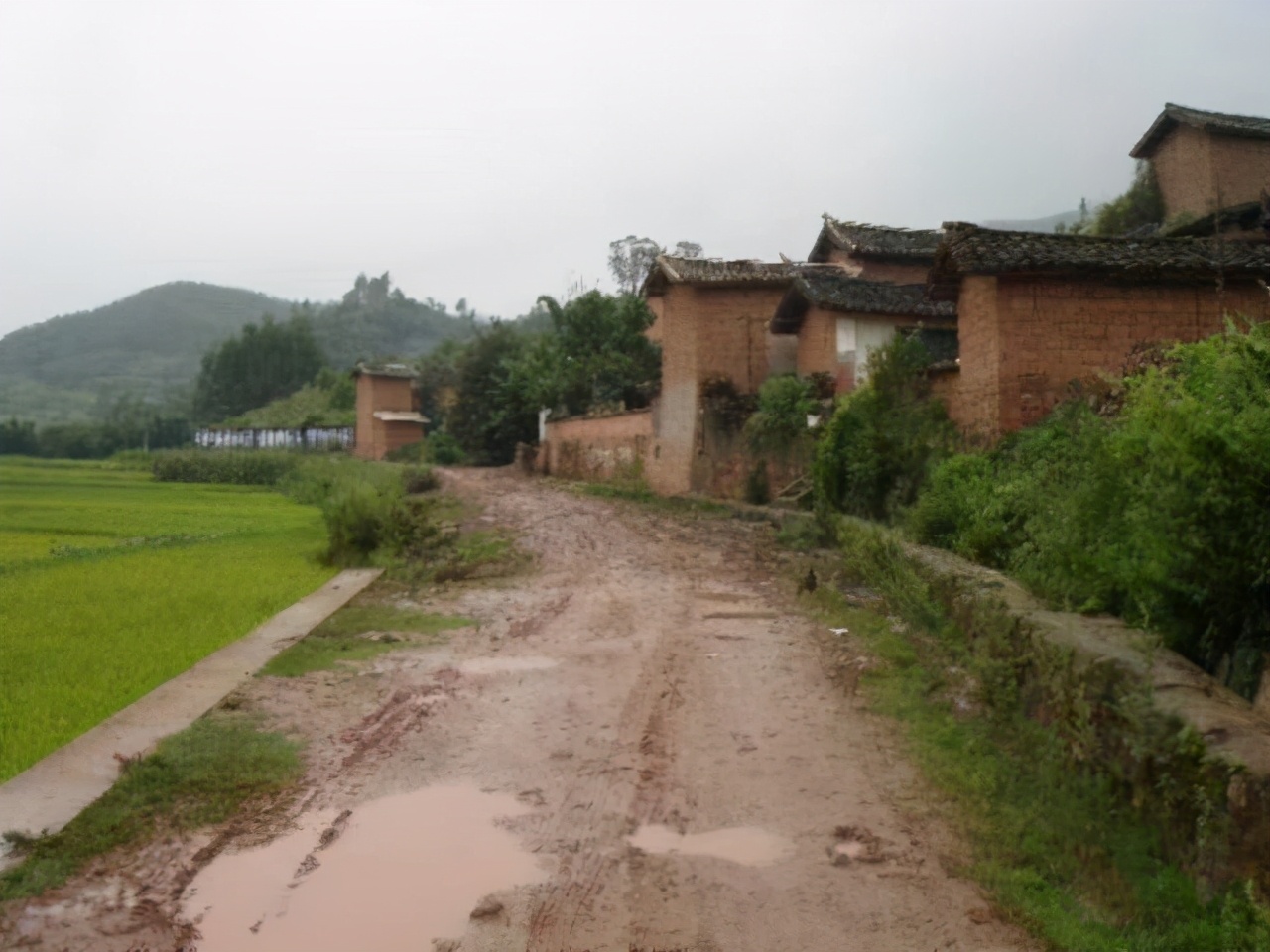 印度“唐人街”惨遭拆除？众多华侨无家可归，