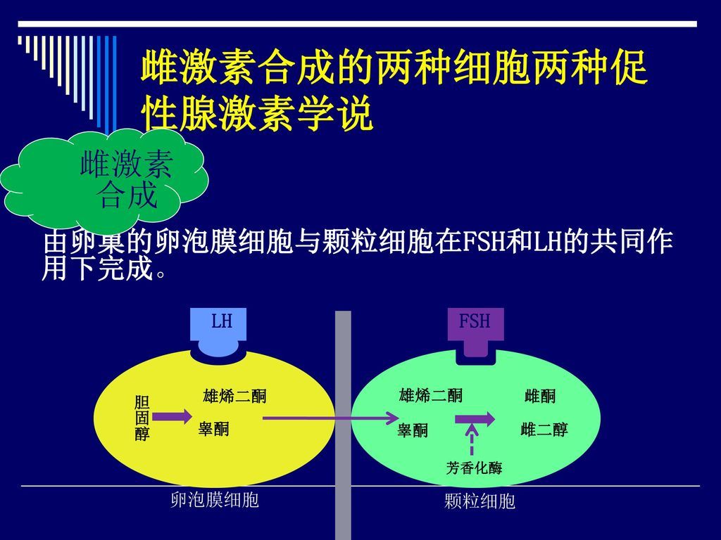 多囊卵巢综合症的调养新理念(一)