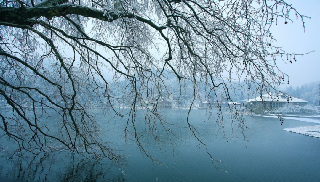 十首冬景的诗词，冬天的景色，在最美的诗词里-第5张图片-诗句网