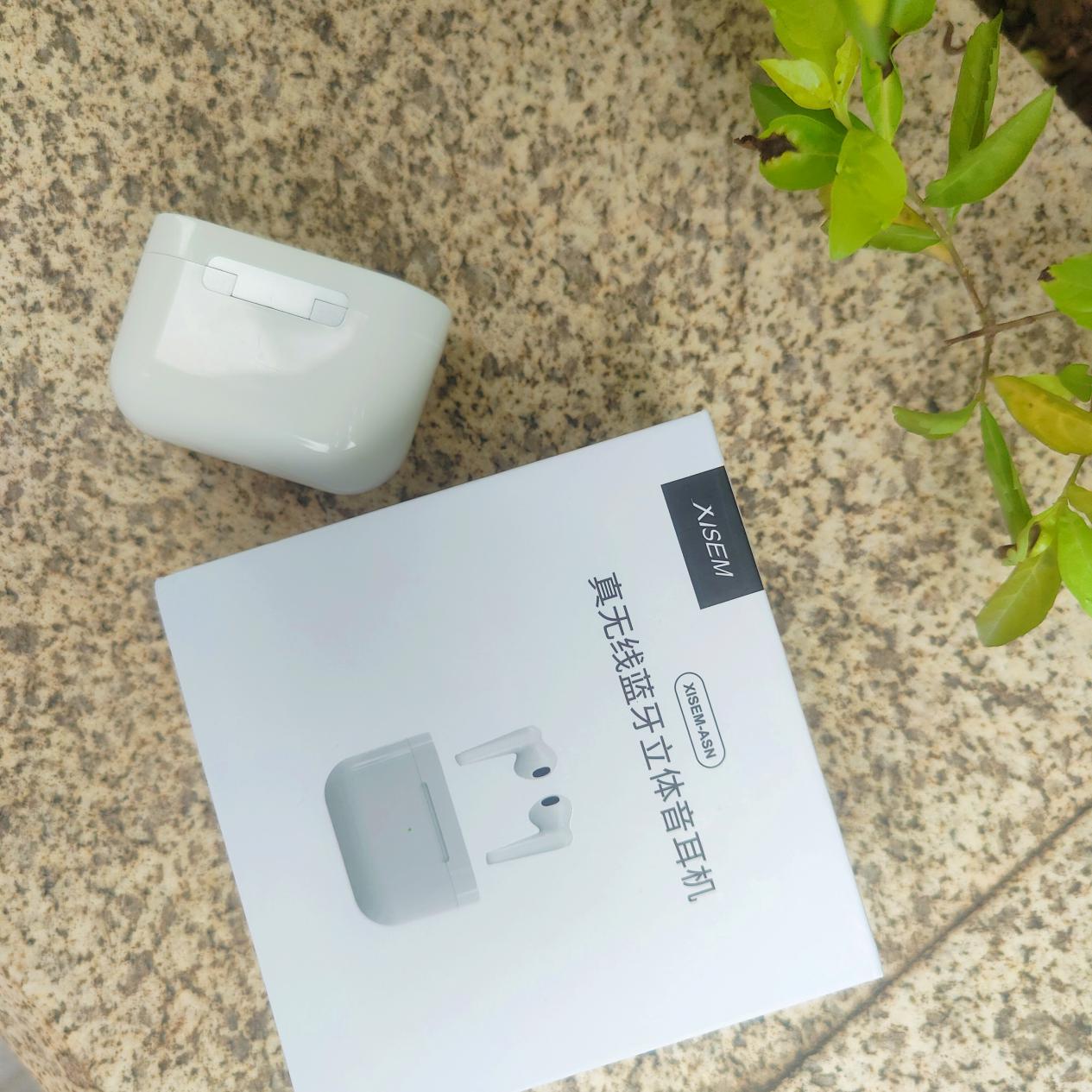 趁它还在性价比里精致着—西圣ASN 15天使用体验报告