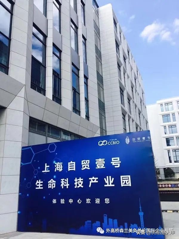 中国生物医药产业外高桥自贸壹号 全球医疗器械创新技术产业园
