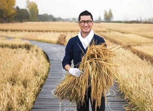 周杰的毁灭史：从“实力小生”到“种米农民”