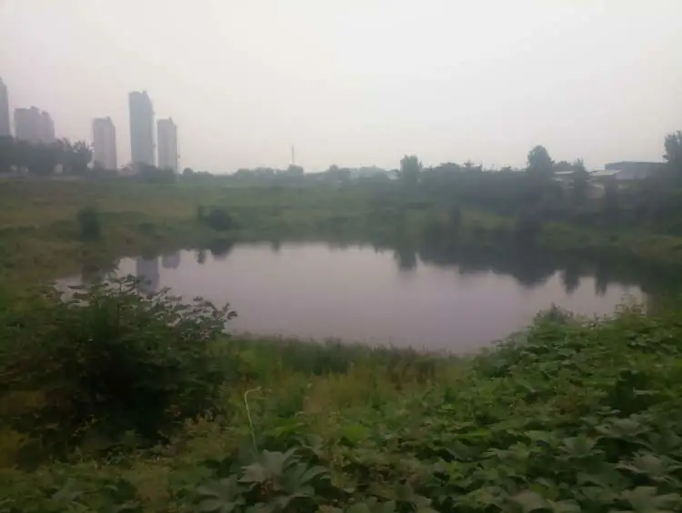 好消息!邢台狗头泉再次复涌