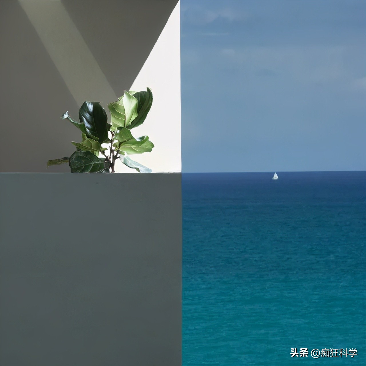 21張真實存在的視錯覺場景 歡迎來挑戰自己的眼睛 痴狂科學 Mdeditor