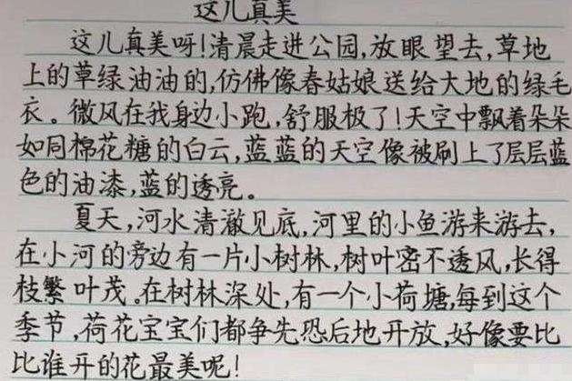 家长晒一年级孩子满分日记，书面整洁书写工整，老师直夸难得一见-第6张图片-大千世界