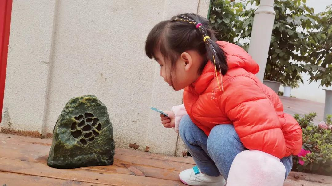 天府新区元音幼儿园丨耳朵的秘密