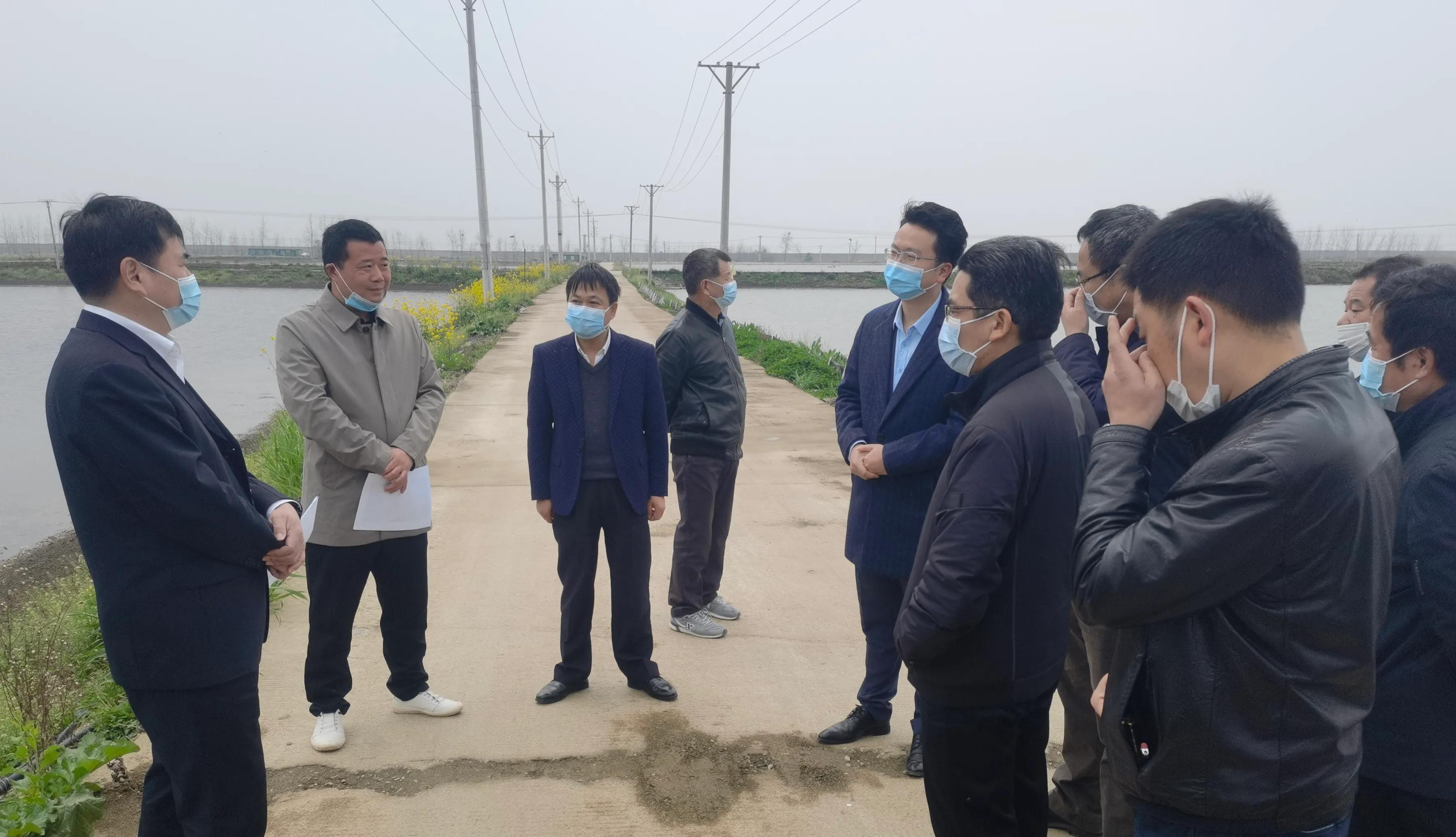 武汉知音故里（蔡甸)着力打造生态水产品金字招牌“品原生”