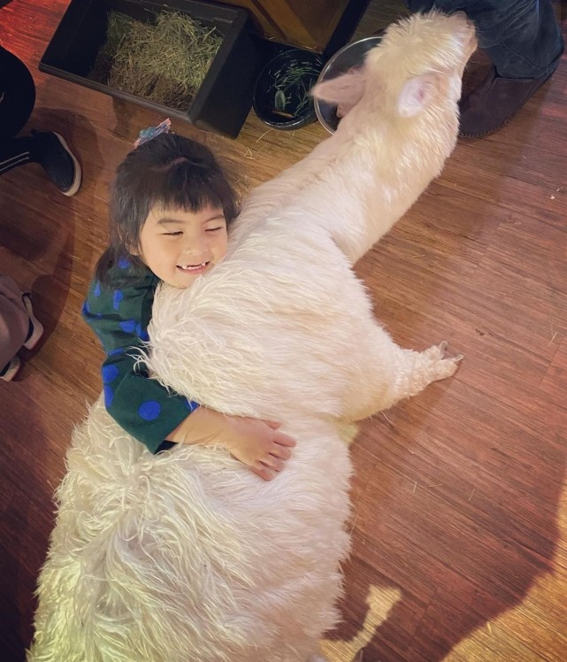 賈靜雯帶娃外出過週末，波妞熊抱羊駝超大膽，門牙脫落笑容很喜感