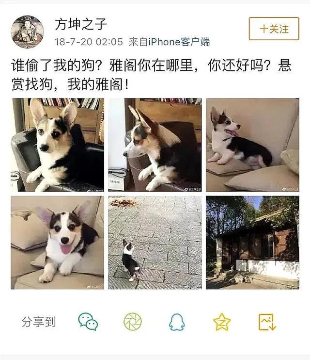 袁立为什么从百花奖女配变成人人嘲笑的“偷狗”贼