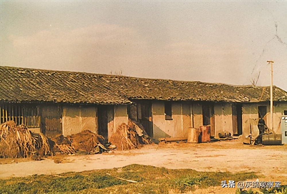 创业“老炮”李书福，6次改行，终成汽车首富，